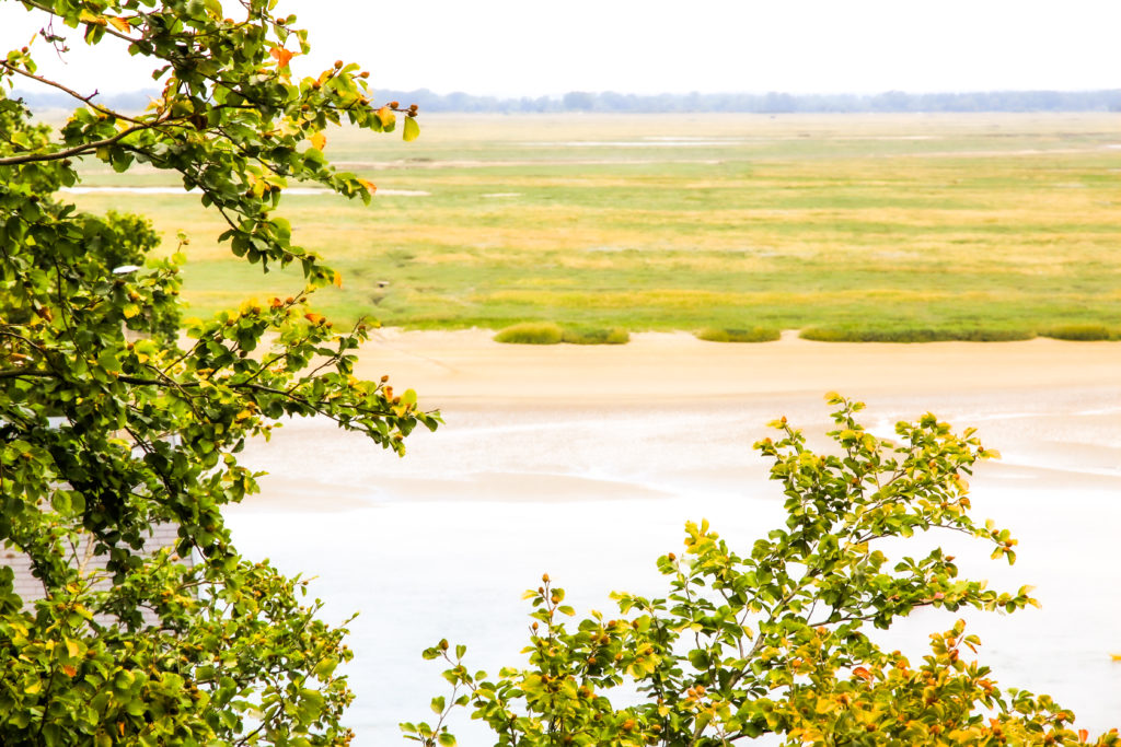 Paysage Baie de Somme